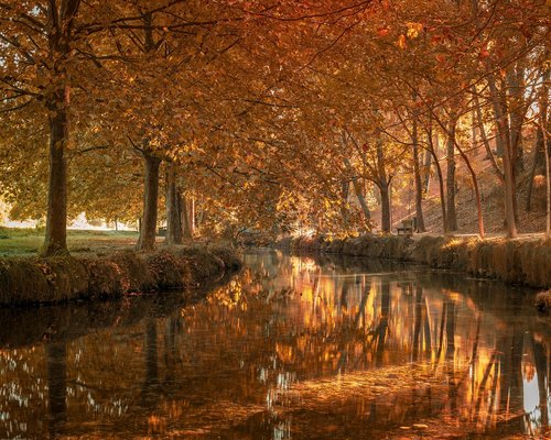 Un reloj junto a un desayuno saludable, indicando la importancia de los horarios